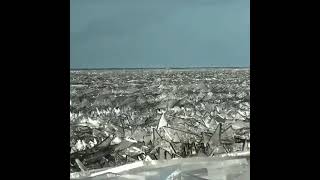 Ice Shards ( Çıldır Lake in Turkey ) #shorts #viral #short