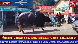 குன்னூரில் தீபாவளி பண்டிகைக்கு கறிக் கடைக்கு சென்ற  காட்டெருமை