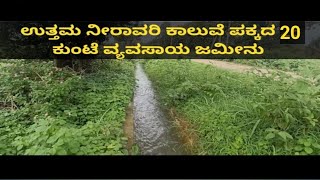 20 Kunta Farm land for sale at Maddur