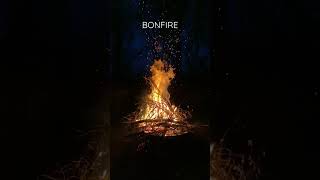 Bonfire | Nature Enthusiast | #shorts #asmr #oddlysatisfying