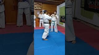 #Sokyokushin #sekaisokyokushin #Kyokushin #Karate #KyokushinKarate #KyokushinCdelU #martialarts