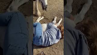 Enjoying with my horse #horse #horses #horsevideo #horseriding #trending #pets #shorts #viral