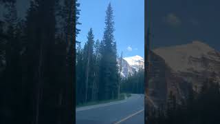 Banff scenery🏔️🌳🌲#canada #alberta #banff #scenery #trees #mountains #lake #reels #relax