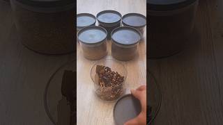 Refilling spice jar #spices #asmr #shortsvideo #refill #asmrsounds #asmrvideo #sound #shorts #pantry