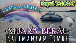 Lumba-lumba dan Kapal Tugboat di Muara berau| Kalimantan Timur