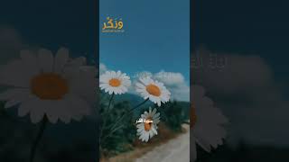 سورة القدر الآيات من 1 إلى 5 بصوت القارئ ماهر المعيقلي #حالات واتس  #quran #shorts