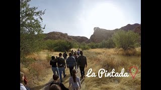 Pinturas Ancestrales | Vlog #32