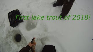 Backwoods lake trout trip with surprise catch!