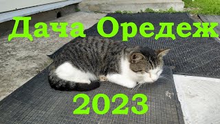 Дача Оредеж 2023