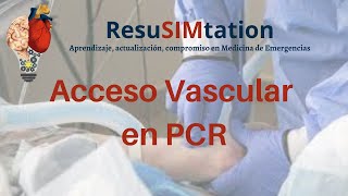 Perla Críticos Acceso Vascular en PCR