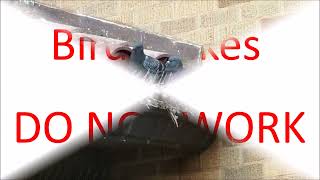 Spikes Rebar for Birds Video