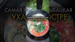 УХА НА КОСТРЕ Самый Вкусный Рецепт   #уха #шефбоков #простопесня