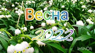 Весна 2022🇺🇦💙💛