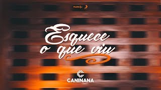 Caninana - Esquece o que viu