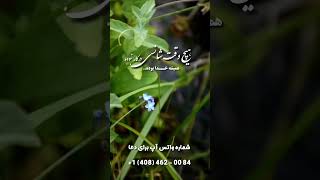 هیچوقت شانس نبوده که کارهایت را پیش برد