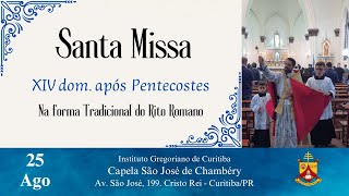 XIV Domingo após Pentecostes | Forma Tradicional do Rito Romano | 25/08/2024