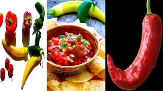 BEST Salsa Recipe Secret Revealed - 3 Tips Dale's Way