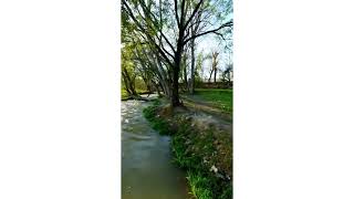 (Swat ki sab si kubsurat nadi )  a beautiful stream of swat for more beautiful videos subscribe