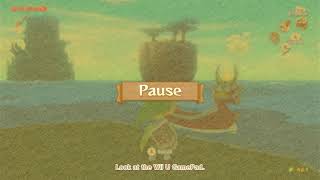 Let's Play Wind Waker HD