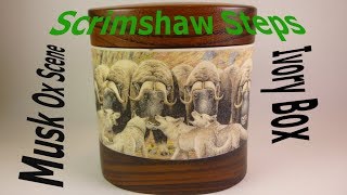 Scrimshaw Steps by Adams - Musk Ox Scene On Ivory Box