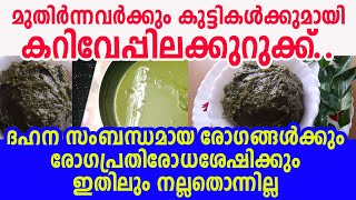 കറിവേപ്പില കുറുക്ക് കുട്ടികള്‍ക്ക് കൊടുത്തുനോക്കൂ; രോഗമെല്ലാം പമ്പ കടക്കും|special curry leaves item