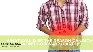 Dietitian Answers: What Could Be The Reason Candida Won't Go Away Part 1