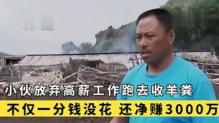 小伙年薪幾十萬，卻跑去收羊糞，從此財富爆發，讓他凈賺3000多萬 #于途史紀 #古墓 #考古發現 #考古 #盜墓筆記