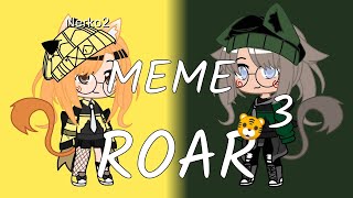 //MEME//ROAR\\3-3 конец!//