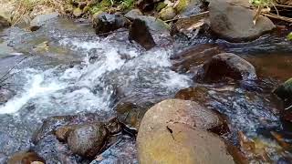 20 minutes The beauty of the sound of river water for relaxation, curing insomnia, therapy, relaxing