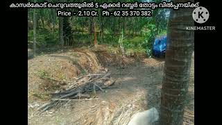 5 Acres of Rubber Plantation For Sale in Kasaragod (Kerala) Ph - 62 35 370 382