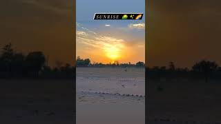 Sunrise new whatsapp status #Shorts