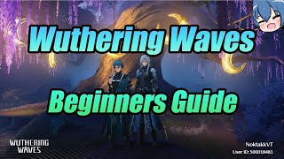 Wuthering Waves Beginners Guide | What should I do first?