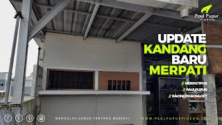 UPDATE KANDANG BARU MERPATI PAUL PUPUR 2022