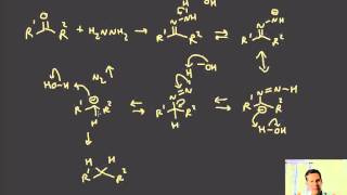 043 carbonyls hydrazones oximes