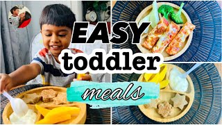 Easy Toddler Meal Ideas & Recipes Sinhala ♡ බබාට කෑම වට්ටෝරු අදහස් | Breakfast Lunch and Dinner