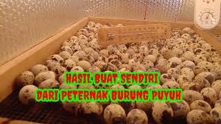 INOVASI TERBARU DALAM PETERNAKAN MODERN//MESIN TETAS TELUR//#trending#burungpuyuh#mesintetastelur