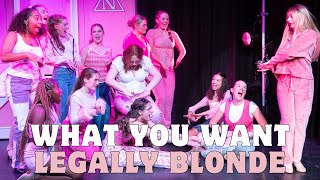 What You Want | Legally Blonde The Musical | Copper Studios