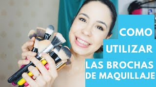 Como Usar Brochas de Maquillaje - Para Que Sirve Cada Brocha - Facil Para Principiantes