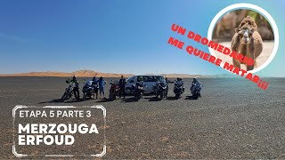 Expedición Marruecos Etapa 5# p3 /Merzouga-Erfoud