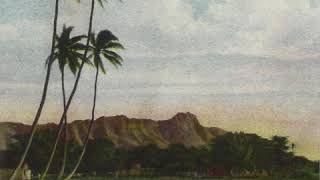 Nua O Ka Palai - John King