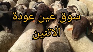 سوق عين عودة فلوق زوين شريت الحولي كاين ثمن والجودة