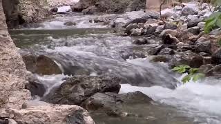 Five Minute Mindfulness and Meditation: Mountain Stream