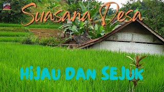 Desa Nangtang yang Begitu Hijau dan Sejuk | Kehidupan Pedesaan | 4K