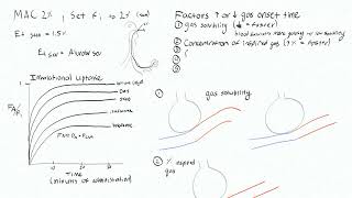 Inhalational Agents 3 - Inhalational Onset Time Factors Overview