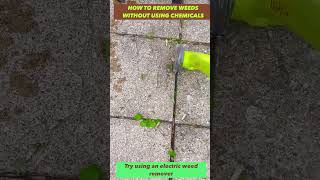 #shorts How to remove weeds without using chemicals