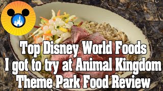 THEME PARK FOOD REVIEW: Top Disney World Foods you got to try at Animal Kingdom