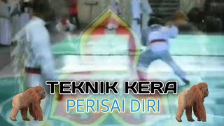 Teknik Kera Perisai Diri || Silat Nasional Perisai Diri Indonesia@hersonhakko7280