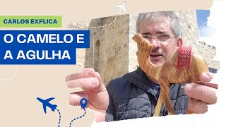 A AGULHA E O CAMELO.