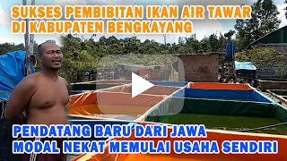 Sukses Pembenihan Ikan Lele