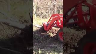 Using the Kubota and stump bucket to remove trees.